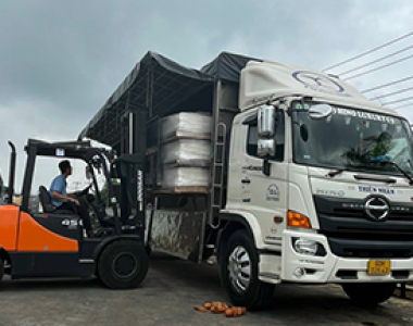 Dịch vụ cho thuê xe nâng